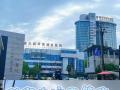 后腦勺的毛囊“換防”到頭頂，隨州市中心醫(yī)院首例毛發(fā)自體移植順利完成