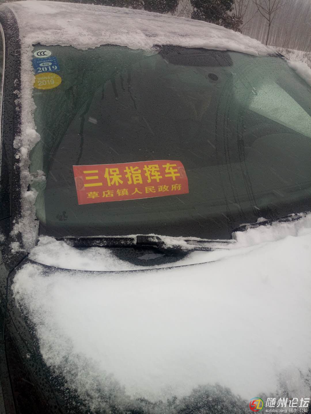 95996170736531956.jpg