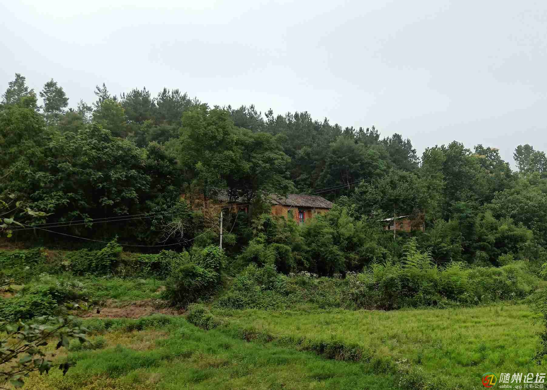 1、草間小路可不好走.jpg