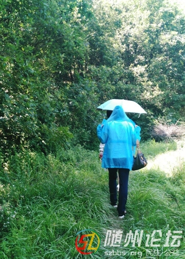 5、前行，路在何方.jpg
