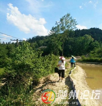 7、藍天、白云，風(fēng)景如畫，可我們不能停止腳步享受.jpg