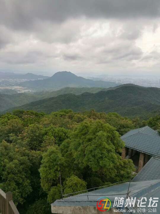20180715_17381917_1531657450087.jpg