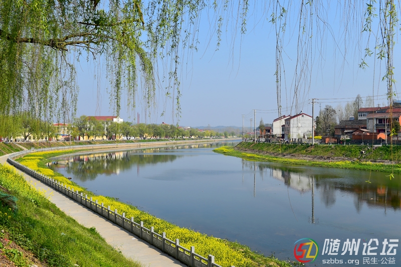 1、《一河兩岸》 林俊.jpg
