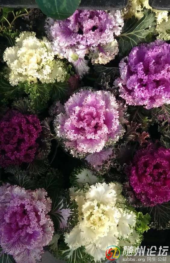 20180925_17383077_1537842750127.jpg