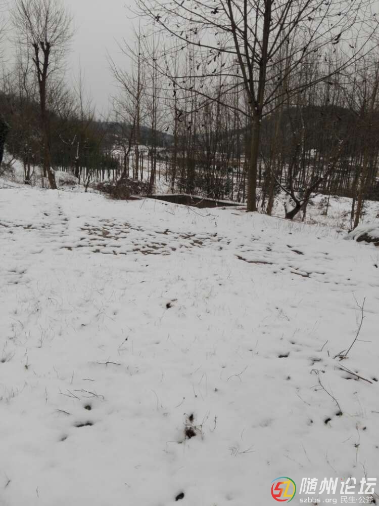 20181228_17381917_1545969475129.jpg