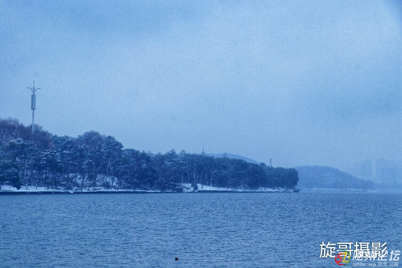 20190103_17390550_1546522582033.jpg
