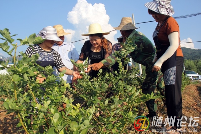 生態(tài)園建在老區(qū)村 扮靚了農村富鄉(xiāng)鄰 －－隨縣淮河鎮(zhèn)龍泉村慈云居生態(tài)養(yǎng)生園發(fā)展紀實