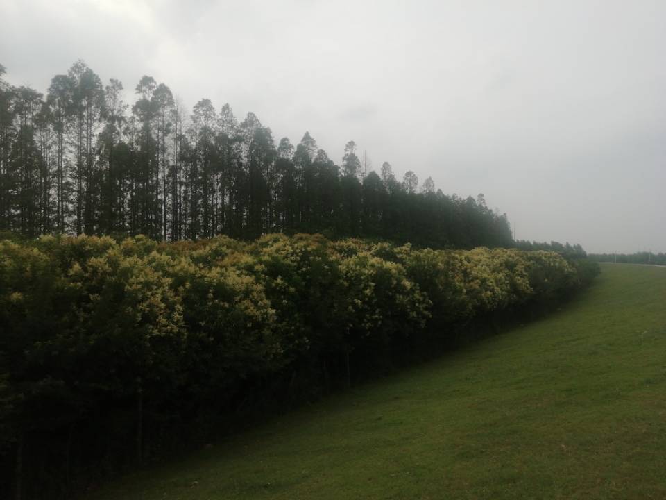 E27BCE889E6106F34C5A8119CFC3F9BA.jpg